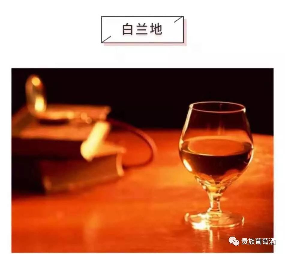 葡萄酒與白蘭地、威士忌等烈酒究竟有什么區